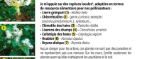 Accueillir les plantes grimpantes