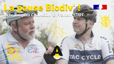 Épisode 1 : La vache !