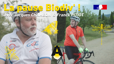 Épisode 2 : Espèce de larve !