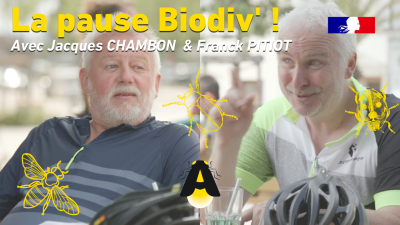 Épisode 6 : Sous les pavés, la plante !