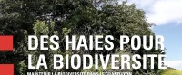 Guide biodiversité des haies