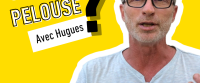 A quoi sert ma pelouse ? en vidéo