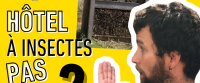 Hôtel à insectes : pas si bien ?