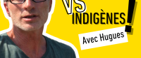 Plantes exotiques vs indigènes