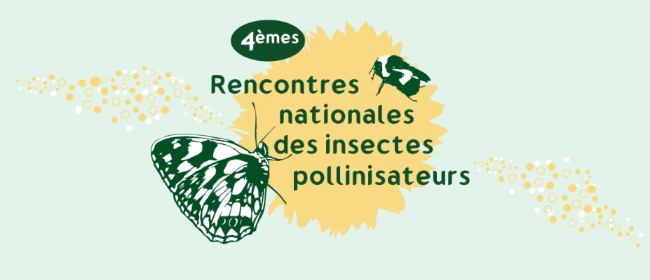 4e Rencontres nationales des insectes pollinisateurs